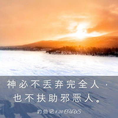 Picture 03 - 约 伯 记 8:20 CUVS - 神 必 不 丢 弃 完 全 人 ， 也 不 扶 - Bible Verse Picture
