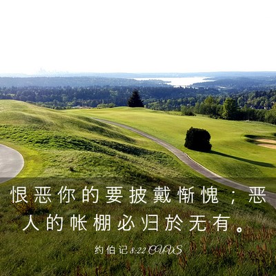 Picture 03 - 约 伯 记 8:22 CUVS - 恨 恶 你 的 要 披 戴 惭 愧 ； 恶 人 - Bible Verse Picture