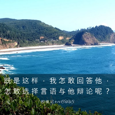 Picture 03 - 约 伯 记 9:14 CUVS - 既 是 这 样 ， 我 怎 敢 回 答 他 ， - Bible Verse Picture