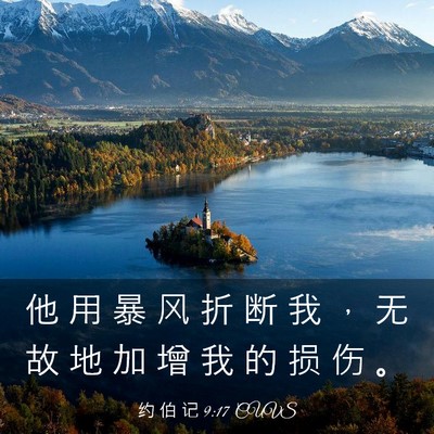 Picture 03 - 约 伯 记 9:17 CUVS - 他 用 暴 风 折 断 我 ， 无 故 地 加 - Bible Verse Picture