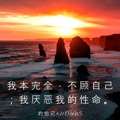 Picture 03 - 约 伯 记 9:21 CUVS - 我 本 完 全 ， 不 顾 自 己 ； 我 厌 - Bible Verse Picture