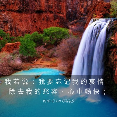 Picture 03 - 约 伯 记 9:27 CUVS - 我 若 说 ： 我 要 忘 记 我 的 哀 情 - Bible Verse Picture