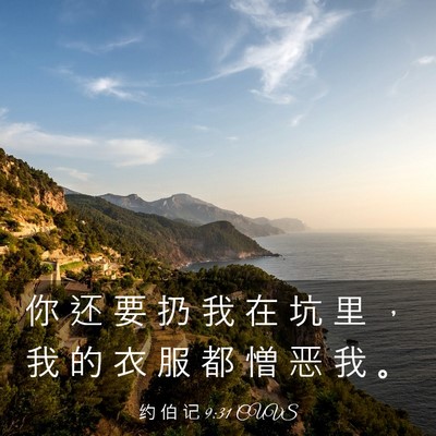 Picture 03 - 约 伯 记 9:31 CUVS - 你 还 要 扔 我 在 坑 里 ， 我 的 衣 - Bible Verse Picture