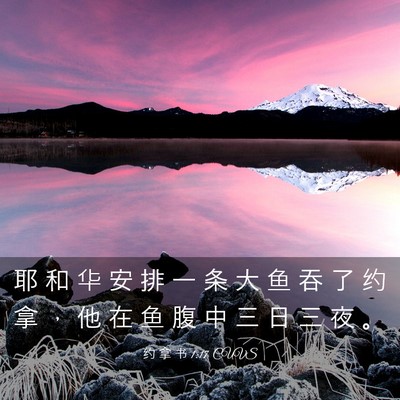 Picture 03 - 约 拿 书 1:17 CUVS - 耶 和 华 安 排 一 条 大 鱼 吞 了 约 - Bible Verse Picture