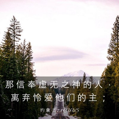 Picture 03 - 约 拿 书 2:8 CUVS - 那 信 奉 虚 无 之 神 的 人 ， 离 弃 - Bible Verse Picture