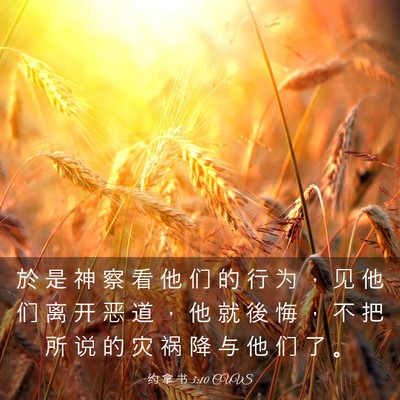 Picture 03 - 约 拿 书 3:10 CUVS - 於 是 神 察 看 他 们 的 行 为 ， 见 - Bible Verse Picture