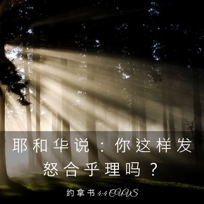 Picture 03 - 约 拿 书 4:4 CUVS - 耶 和 华 说 ： 你 这 样 发 怒 合 乎 - Bible Verse Picture