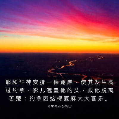 Picture 03 - 约 拿 书 4:6 CUVS - 耶 和 华 神 安 排 一 棵 蓖 麻 ， 使 - Bible Verse Picture