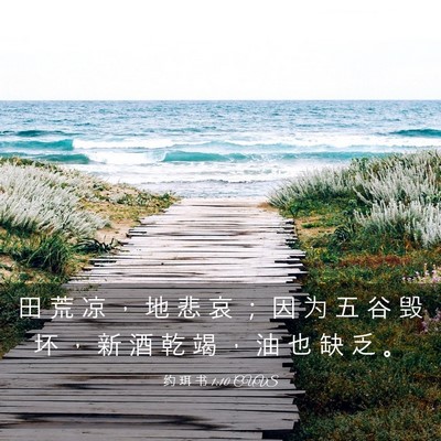 Picture 03 - 约 珥 书 1:10 CUVS - 田 荒 凉 ， 地 悲 哀 ； 因 为 五 谷 - Bible Verse Picture