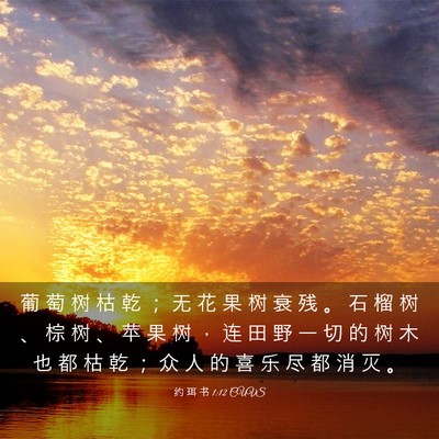 Picture 03 - 约 珥 书 1:12 CUVS - 葡 萄 树 枯 乾 ； 无 花 果 树 衰 残 - Bible Verse Picture
