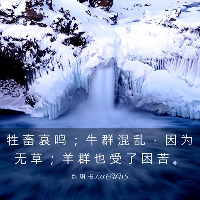 Picture 03 - 约 珥 书 1:18 CUVS - 牲 畜 哀 鸣 ； 牛 群 混 乱 ， 因 为 - Bible Verse Picture