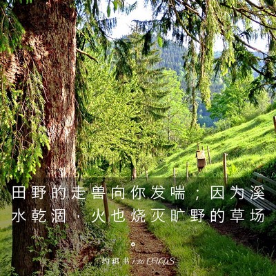 Picture 03 - 约 珥 书 1:20 CUVS - 田 野 的 走 兽 向 你 发 喘 ； 因 为 - Bible Verse Picture