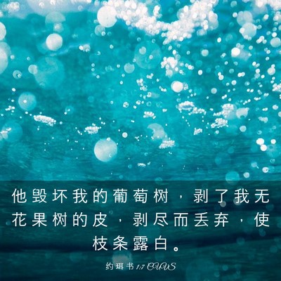 Picture 03 - 约 珥 书 1:7 CUVS - 他 毁 坏 我 的 葡 萄 树 ， 剥 了 我 - Bible Verse Picture