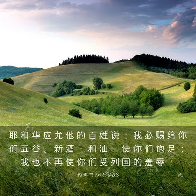 Picture 03 - 约 珥 书 2:19 CUVS - 耶 和 华 应 允 他 的 百 姓 说 ： 我 - Bible Verse Picture