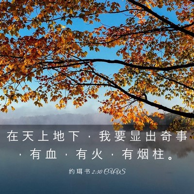 Picture 03 - 约 珥 书 2:30 CUVS - 在 天 上 地 下 ， 我 要 显 出 奇 事 - Bible Verse Picture