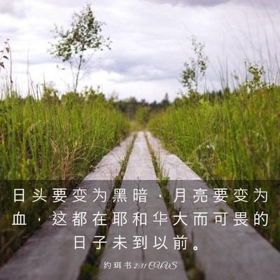 Picture 03 - 约 珥 书 2:31 CUVS - 日 头 要 变 为 黑 暗 ， 月 亮 要 变 - Bible Verse Picture