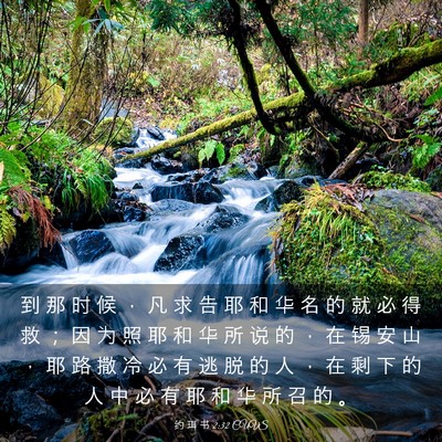 Picture 03 - 约 珥 书 2:32 CUVS - 到 那 时 候 ， 凡 求 告 耶 和 华 名 - Bible Verse Picture