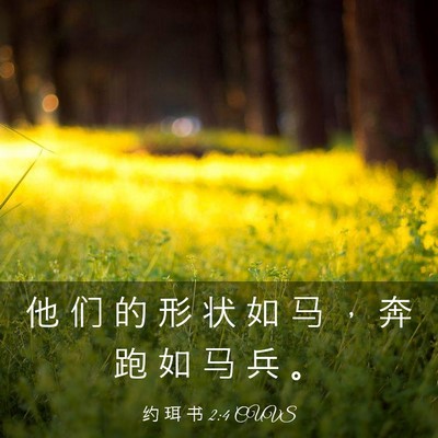 Picture 03 - 约 珥 书 2:4 CUVS - 他 们 的 形 状 如 马 ， 奔 跑 如 马 - Bible Verse Picture