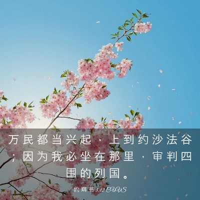 Picture 03 - 约 珥 书 3:12 CUVS - 万 民 都 当 兴 起 ， 上 到 约 沙 法 - Bible Verse Picture