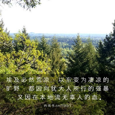 Picture 03 - 约 珥 书 3:19 CUVS - 埃 及 必 然 荒 凉 ， 以 东 变 为 凄 - Bible Verse Picture