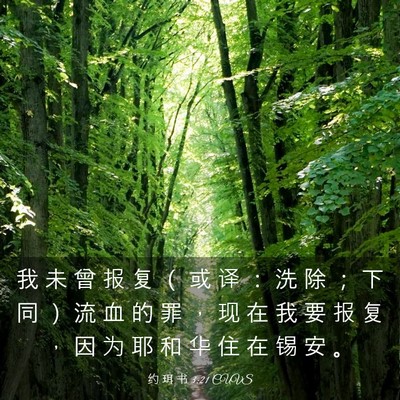 Picture 03 - 约 珥 书 3:21 CUVS - 我 未 曾 报 复 （ 或 译 ： 洗 除 ； - Bible Verse Picture