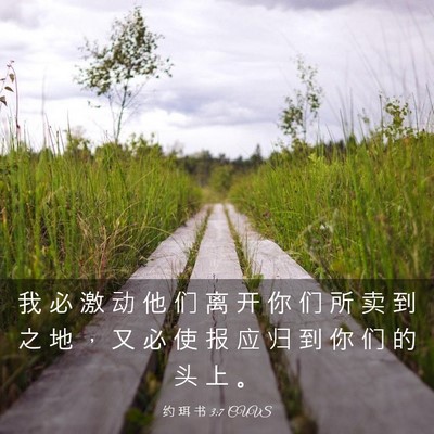 Picture 03 - 约 珥 书 3:7 CUVS - 我 必 激 动 他 们 离 开 你 们 所 卖 - Bible Verse Picture