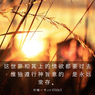 Picture 03 - 约 翰 一 书 2:17 CUVS - 这 世 界 和 其 上 的 情 欲 都 要 过 - Bible Verse Picture