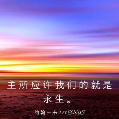 Picture 03 - 约 翰 一 书 2:25 CUVS - 主 所 应 许 我 们 的 就 是 永 生 - Bible Verse Picture
