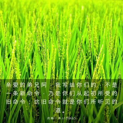 Picture 03 - 约 翰 一 书 2:7 CUVS - 亲 爱 的 弟 兄 阿 ， 我 写 给 你 们 - Bible Verse Picture