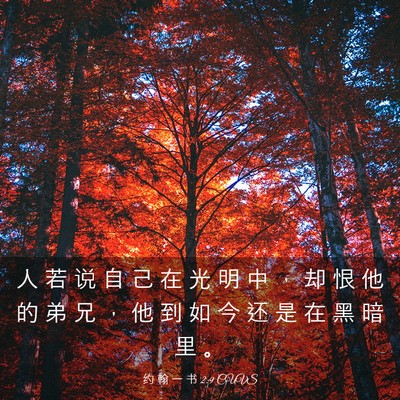 Picture 03 - 约 翰 一 书 2:9 CUVS - 人 若 说 自 己 在 光 明 中 ， 却 恨 - Bible Verse Picture