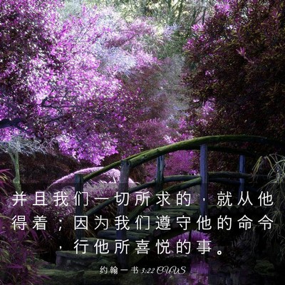 Picture 03 - 约 翰 一 书 3:22 CUVS - 并 且 我 们 一 切 所 求 的 ， 就 从 - Bible Verse Picture