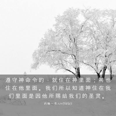 Picture 03 - 约 翰 一 书 3:24 CUVS - 遵 守 神 命 令 的 ， 就 住 在 神 里 - Bible Verse Picture