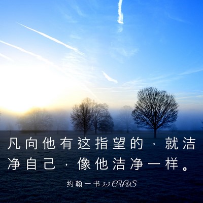 Picture 03 - 约 翰 一 书 3:3 CUVS - 凡 向 他 有 这 指 望 的 ， 就 洁 净 - Bible Verse Picture