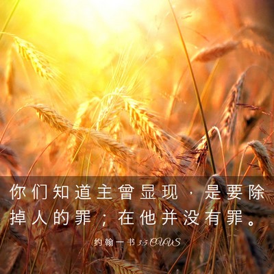 Picture 03 - 约 翰 一 书 3:5 CUVS - 你 们 知 道 主 曾 显 现 ， 是 要 除 - Bible Verse Picture