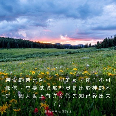 Picture 03 - 约 翰 一 书 4:1 CUVS - 亲 爱 的 弟 兄 阿 ， 一 切 的 灵 ， - Bible Verse Picture
