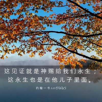 Picture 03 - 约 翰 一 书 5:11 CUVS - 这 见 证 就 是 神 赐 给 我 们 永 生 - Bible Verse Picture