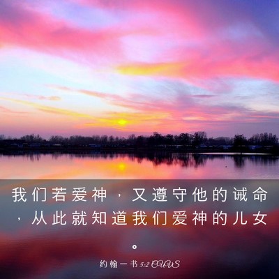 Picture 03 - 约 翰 一 书 5:2 CUVS - 我 们 若 爱 神 ， 又 遵 守 他 的 诫 - Bible Verse Picture