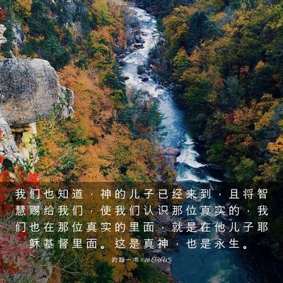 Picture 03 - 约 翰 一 书 5:20 CUVS - 我 们 也 知 道 ， 神 的 儿 子 已 经 - Bible Verse Picture
