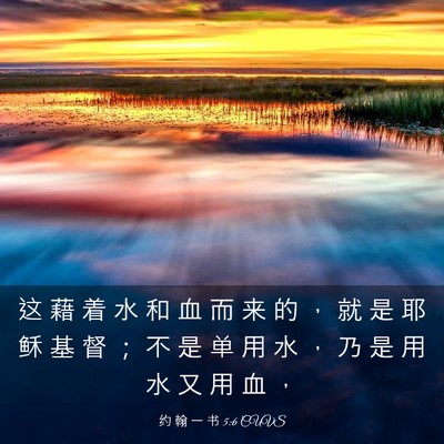 Picture 03 - 约 翰 一 书 5:6 CUVS - 这 藉 着 水 和 血 而 来 的 ， 就 是 - Bible Verse Picture