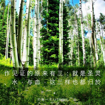 Picture 03 - 约 翰 一 书 5:8 CUVS - 作 见 证 的 原 来 有 三 ： 就 是 圣 - Bible Verse Picture
