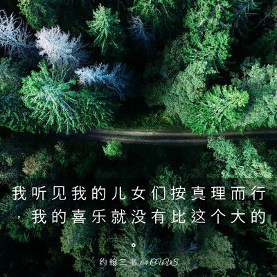Picture 03 - 约 翰 三 书 1:4 CUVS - 我 听 见 我 的 儿 女 们 按 真 理 而 - Bible Verse Picture