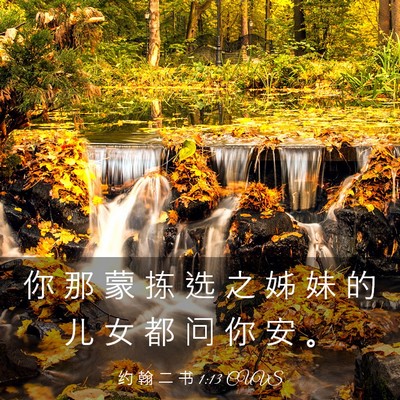 Picture 03 - 约 翰 二 书 1:13 CUVS - 你 那 蒙 拣 选 之 姊 妹 的 儿 女 都 - Bible Verse Picture