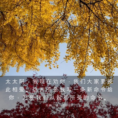 Picture 03 - 约 翰 二 书 1:5 CUVS - 太 太 阿 ， 我 现 在 劝 你 ， 我 们 - Bible Verse Picture