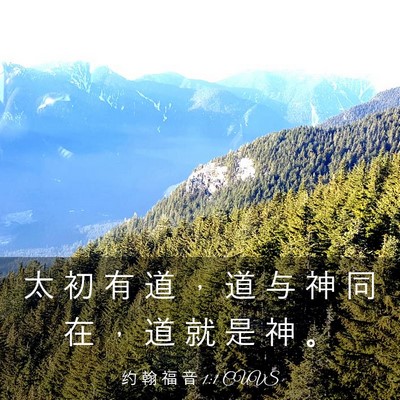 Picture 03 - 约 翰 福 音 1:1 CUVS - 太 初 有 道 ， 道 与 神 同 在 ， 道 - Bible Verse Picture