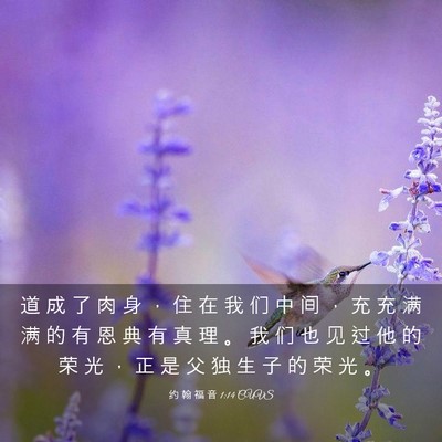 Picture 03 - 约 翰 福 音 1:14 CUVS - 道 成 了 肉 身 ， 住 在 我 们 中 间 - Bible Verse Picture