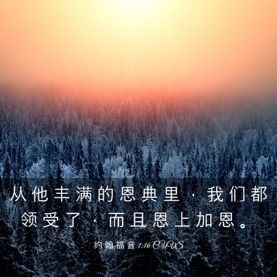 Picture 03 - 约 翰 福 音 1:16 CUVS - 从 他 丰 满 的 恩 典 里 ， 我 们 都 - Bible Verse Picture