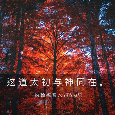 Picture 03 - 约 翰 福 音 1:2 CUVS - 这 道 太 初 与 神 同 在 - Bible Verse Picture