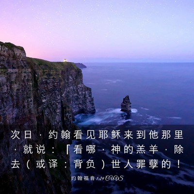 Picture 03 - 约 翰 福 音 1:29 CUVS - 次 日 ， 约 翰 看 见 耶 稣 来 到 他 - Bible Verse Picture