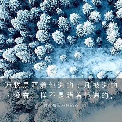 Picture 03 - 约 翰 福 音 1:3 CUVS - 万 物 是 藉 着 他 造 的 ； 凡 被 造 - Bible Verse Picture