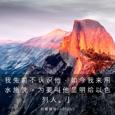 Picture 03 - 约 翰 福 音 1:31 CUVS - 我 先 前 不 认 识 他 ， 如 今 我 来 - Bible Verse Picture